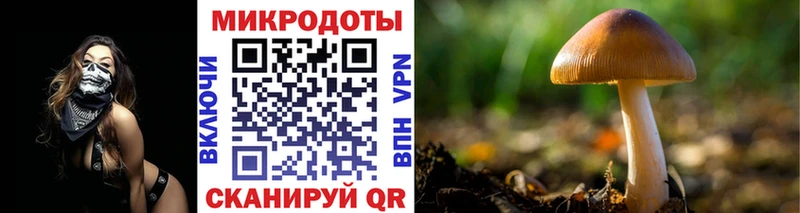 Галлюциногенные грибы ЛСД  Купить закладки  Ардатов 